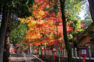 【京都まにあ】紅葉の季節に訪れたい、スタッフ一押しの紅葉スポットと京都の町が一望できる古民家カフェ